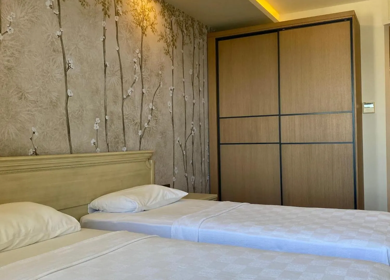 Hotel Mutlu 페티예 2*,